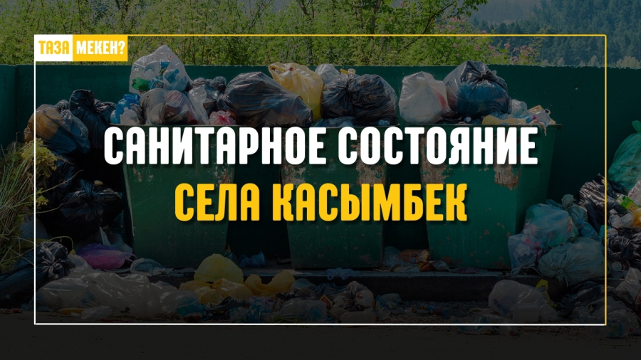 Мусор в селе Касымбек: как обстоит ситуация с санитарным состоянием?