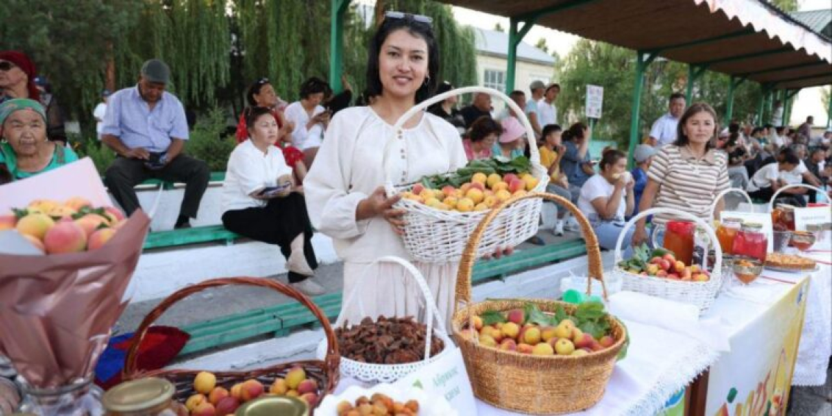 В Алматинской области впервые прошёл Apricot Fest