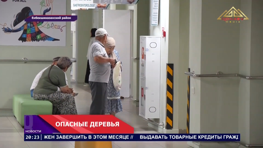 Опасные деревья