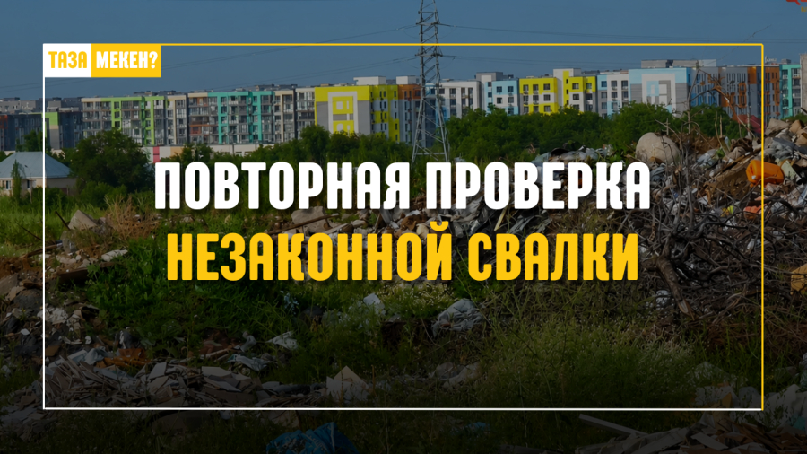 Выполнили ли обещание? Повторная проверка незаконной свалки