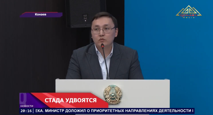 Казахстан готов удвоить поголовье скота!