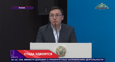 Казахстан готов удвоить поголовье скота!