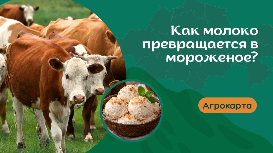 Как молоко превращается в мороженое?