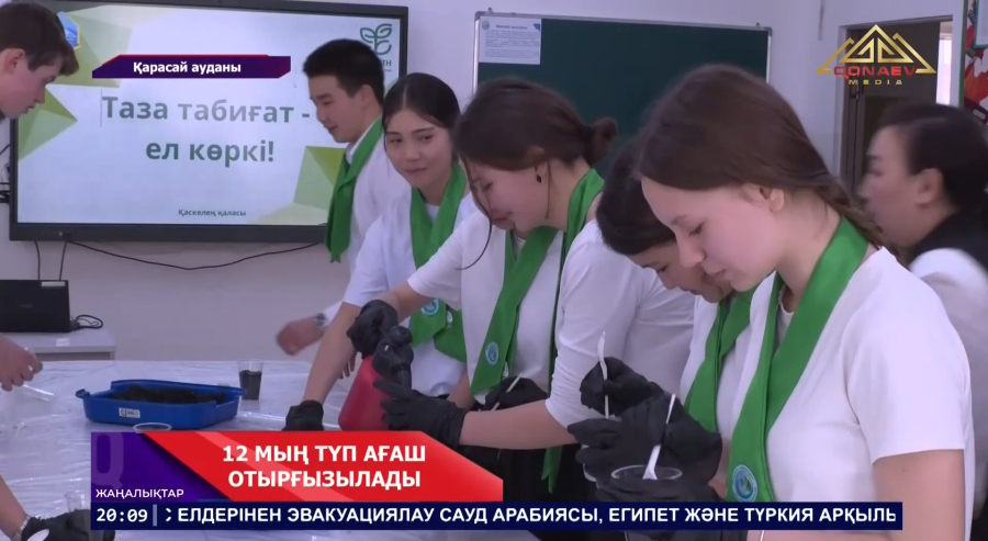 12мың түп ағаш отырғызылады