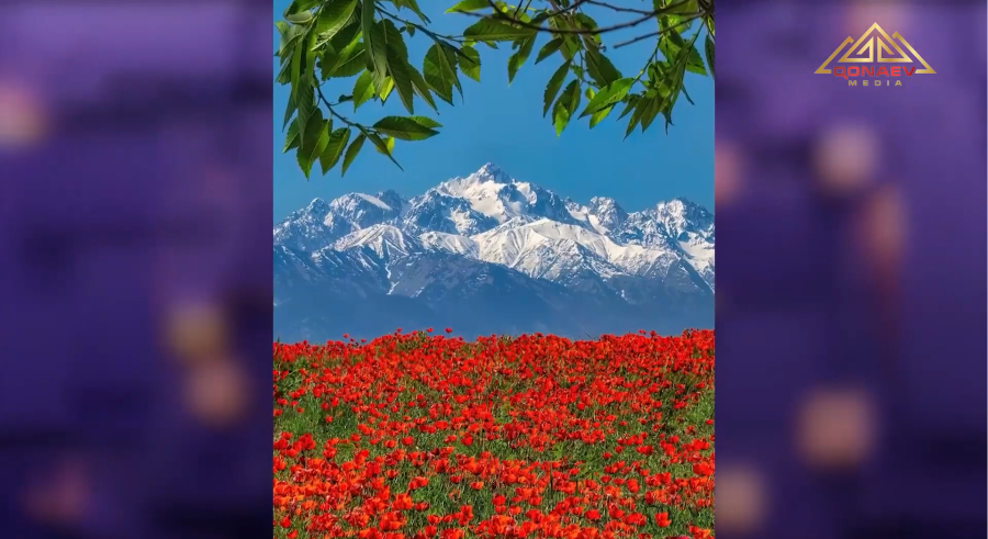 Инстаграм
