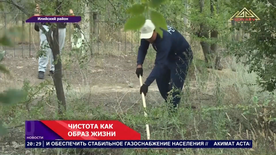 Чистота как образ жизни