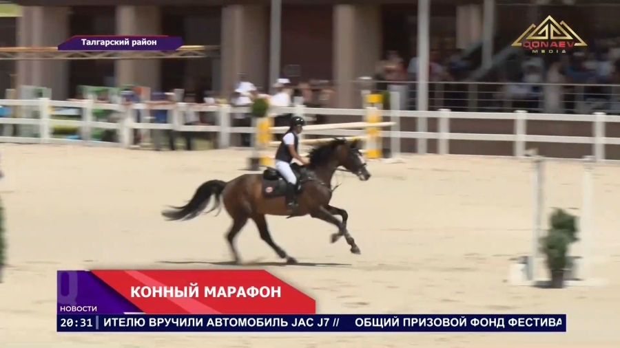 На коне!
