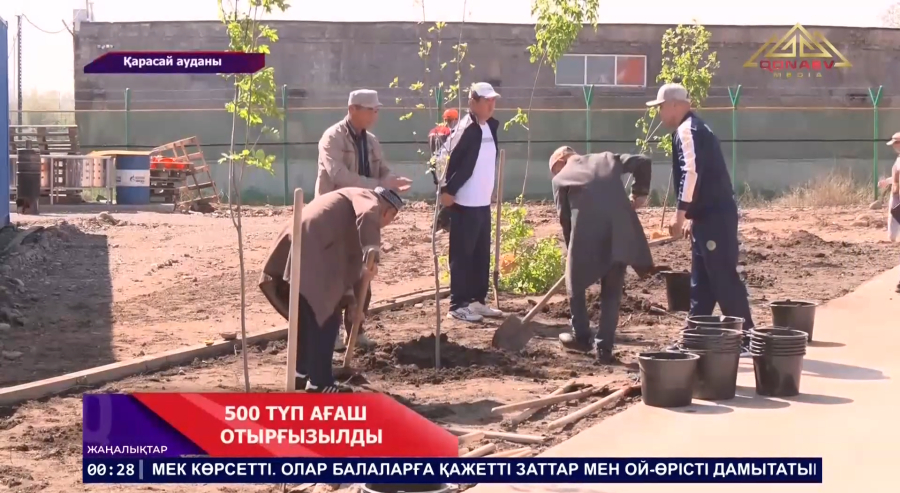 «Таза Қазақстан» акциясы аясында 500 түп ағаш отырғызылды