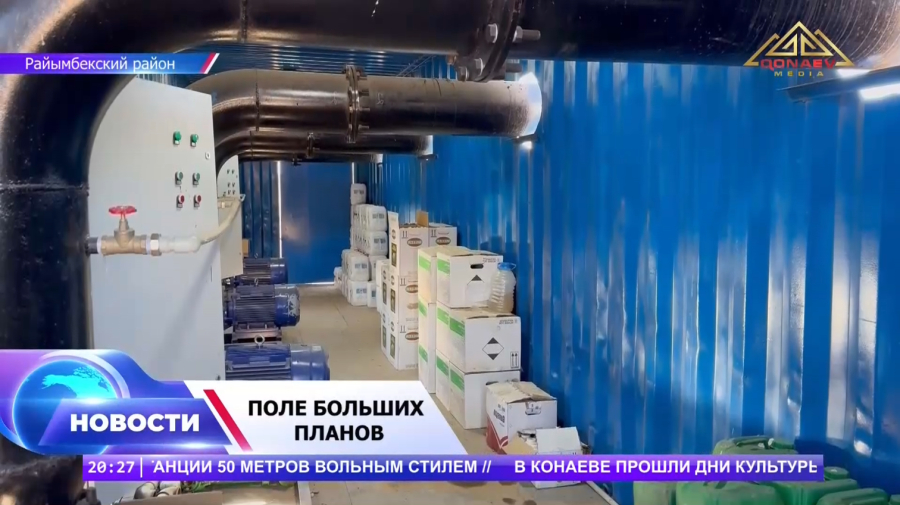 Картофель для чипсов