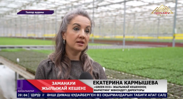 Талғар ауданында заманауи жылыжай кешені