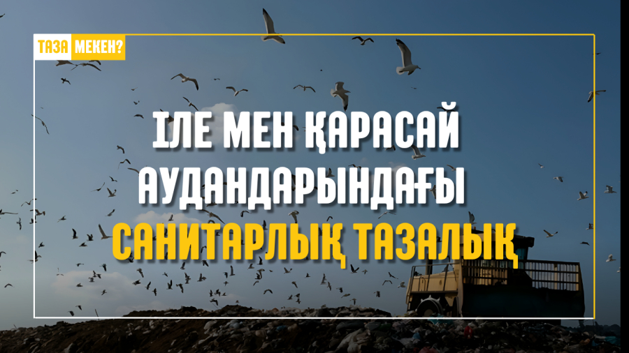 Іле және Қарасай аудандарындағы экологиялық мәселелер: тұрғындар неге алаңдайды?