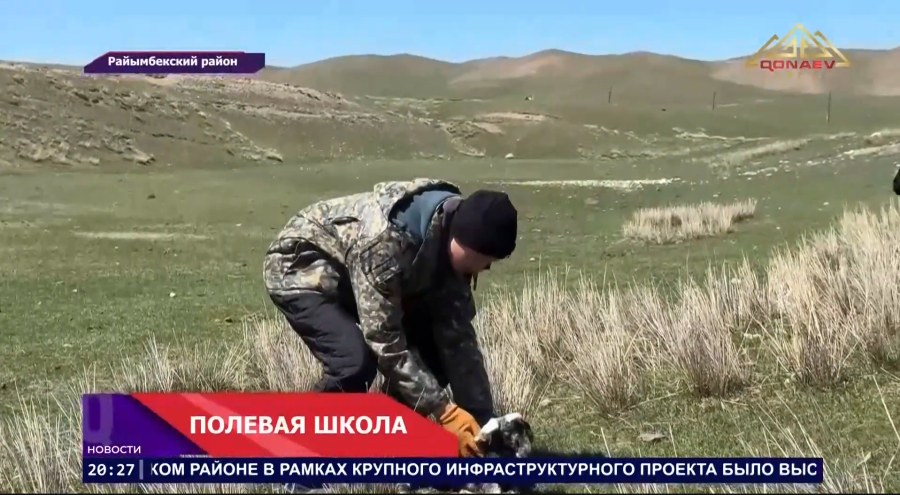 Полевая школа
