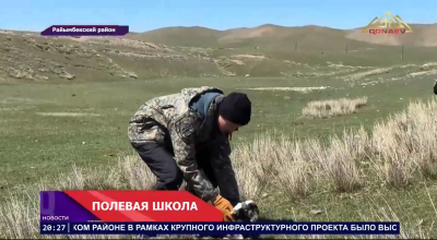 Полевая школа