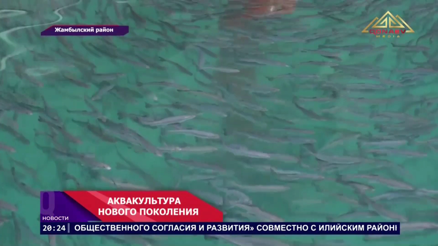 Аквакультура нового поколения