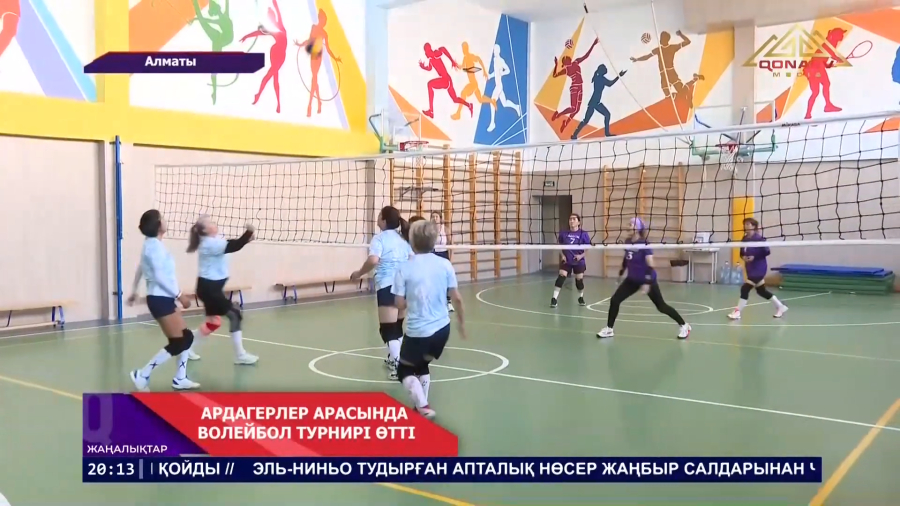 Әйелдер жарысы