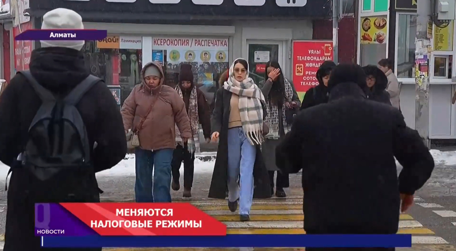 Сам себе предприниматель — без бумажной волокиты!