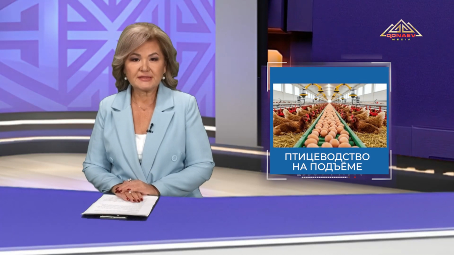 Производство мяса птицы: регион сохраняет лидирующие позиции в стране