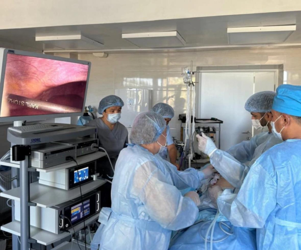 Алматы облысында мобильдік медициналық топ шалғай ауыл тұрғындарына қызмет көрсетуде