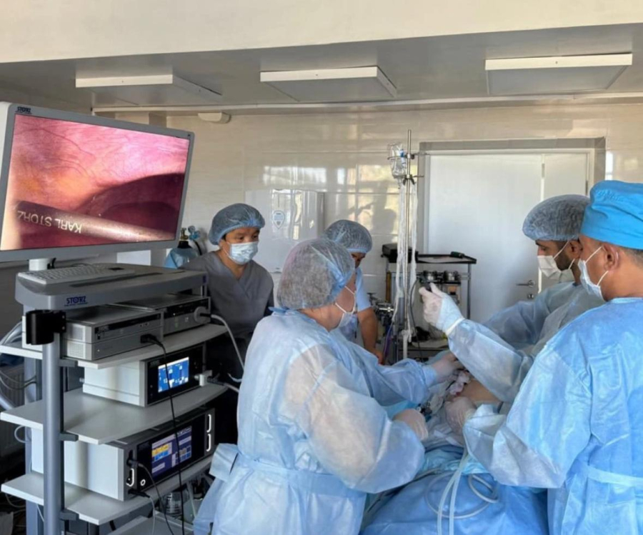 Алматы облысында мобильдік медициналық топ шалғай ауыл тұрғындарына қызмет көрсетуде