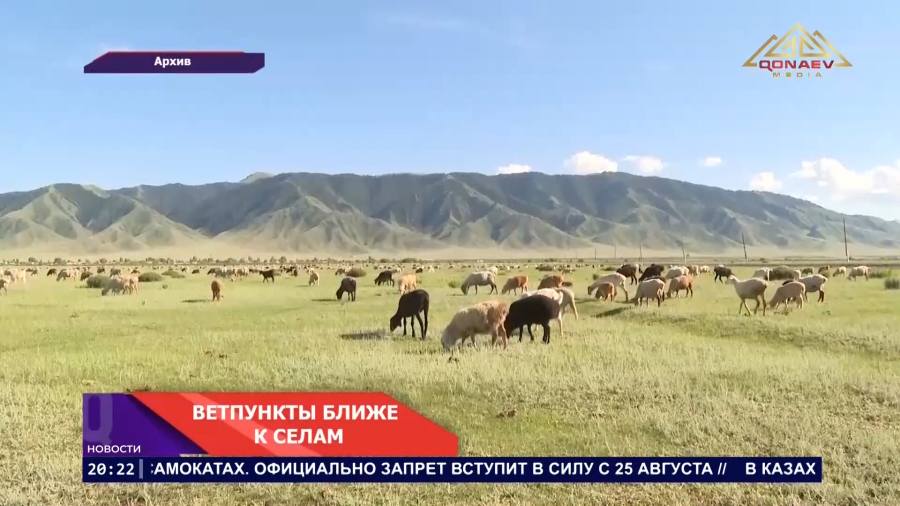 На страже здоровья животных