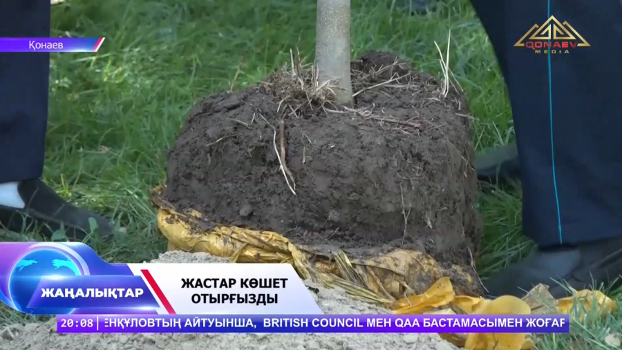 Жастар көшет отырғызды