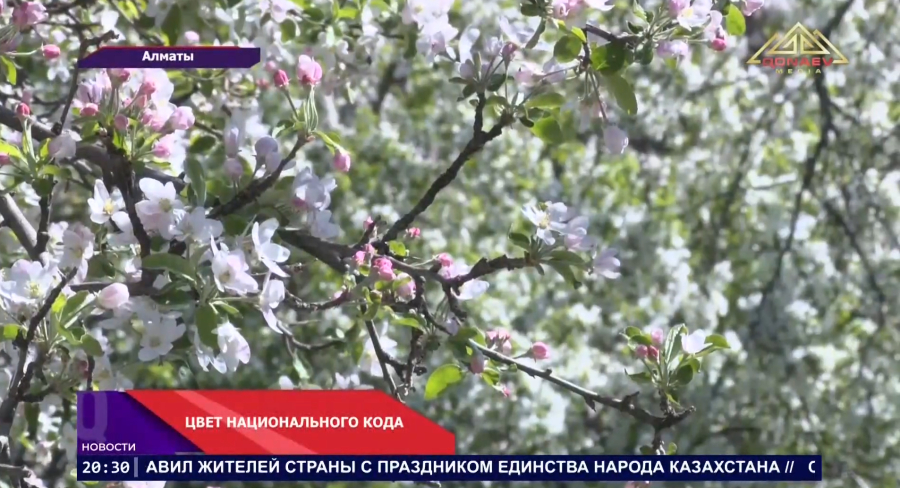 Цвет национального кода