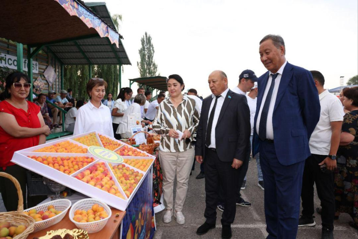 Алматы облысында алғаш рет Apricot Fest өтті