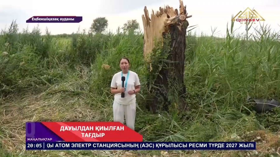 Дауылдан қиылған тағдыр