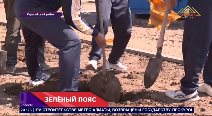 Зелёный пояс