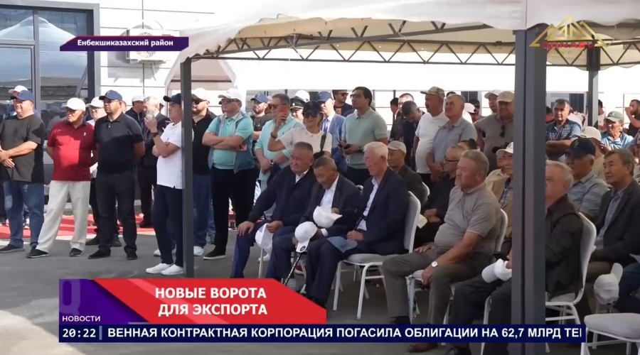 Новый импульс