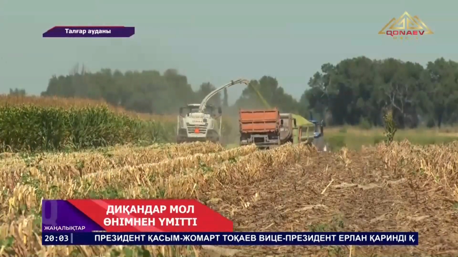 Егістіктегі еңбек