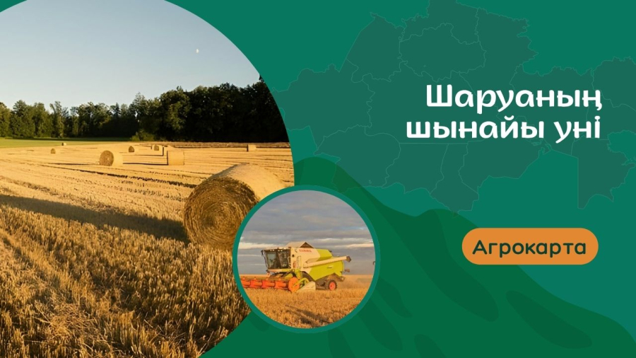 Шаруа орталығының тынысы мен түйткілдері
