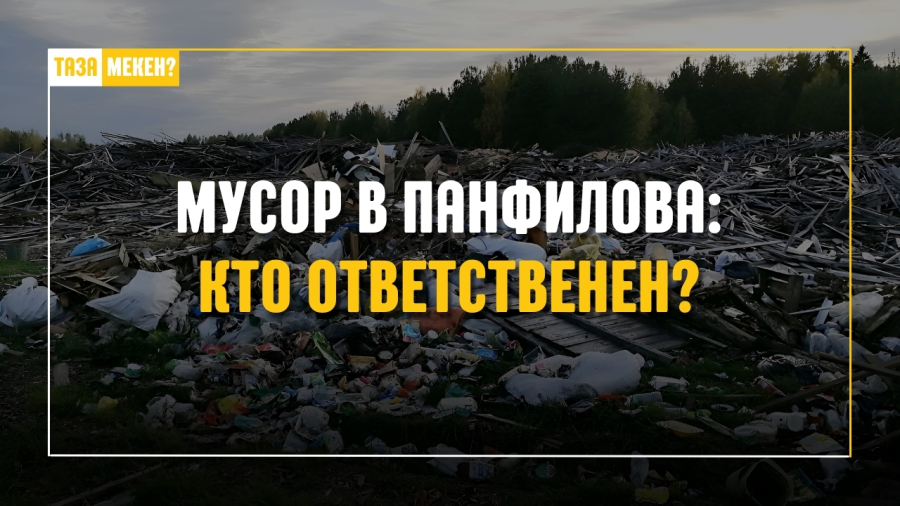 Мусор в Панфилова: кто ответственен?