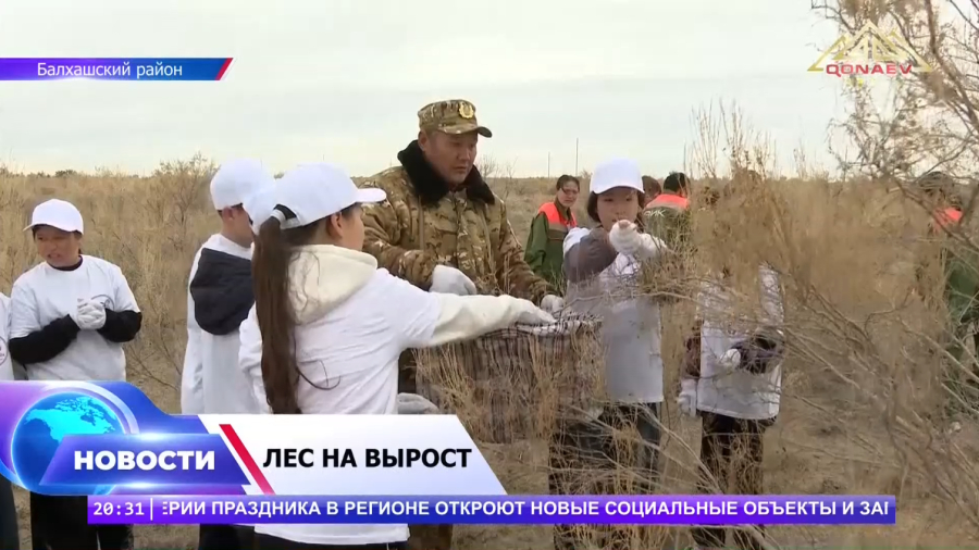 10 тонн семян для будущего леса