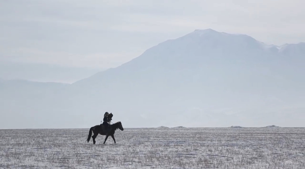 Жан-жануарлардың адам өміріндегі рөлі